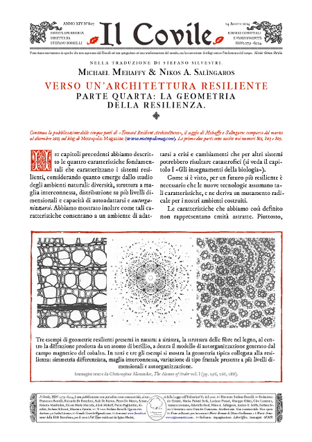 Copertina di La geometria della resilienza.